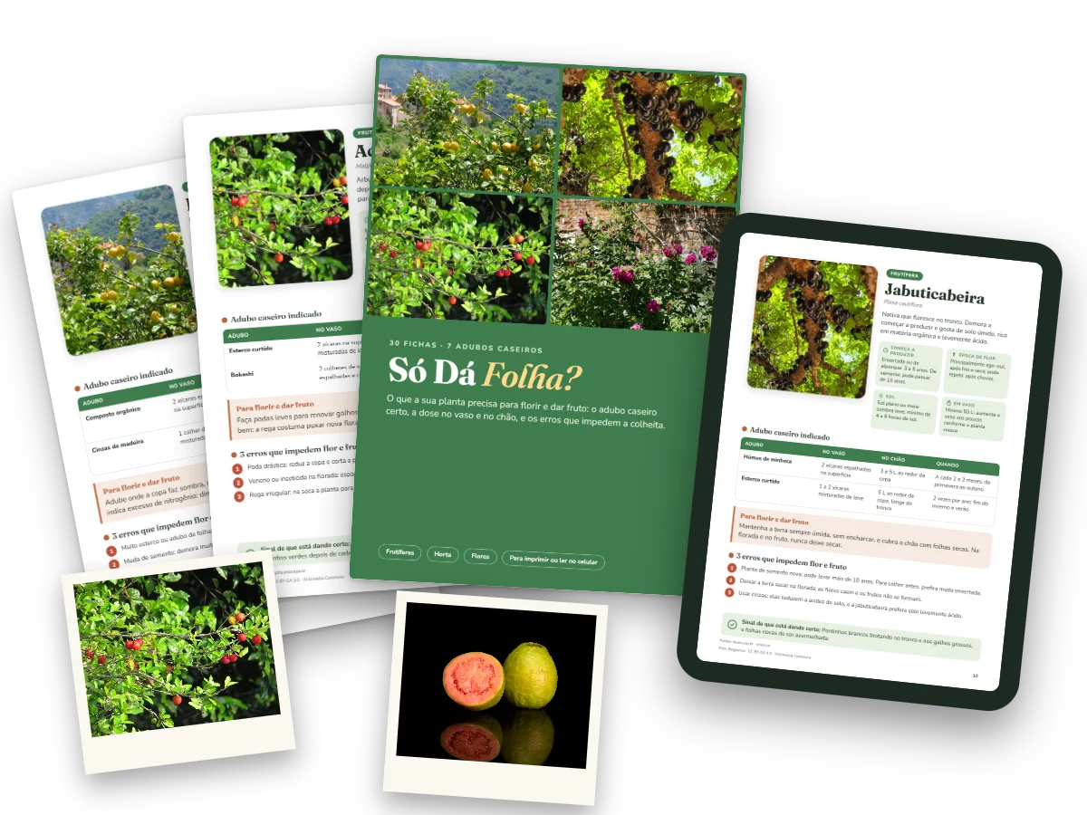 Guia Só Dá Folha? impresso e no celular, com fichas de limoeiro, acerola e jabuticabeira