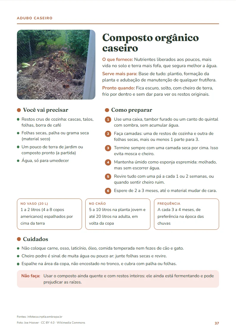 Adubo caseiro: composto orgânico