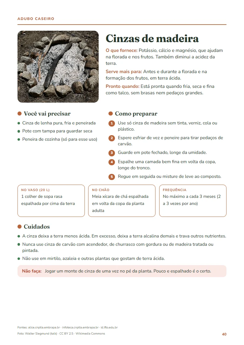 Adubo caseiro: cinzas de madeira