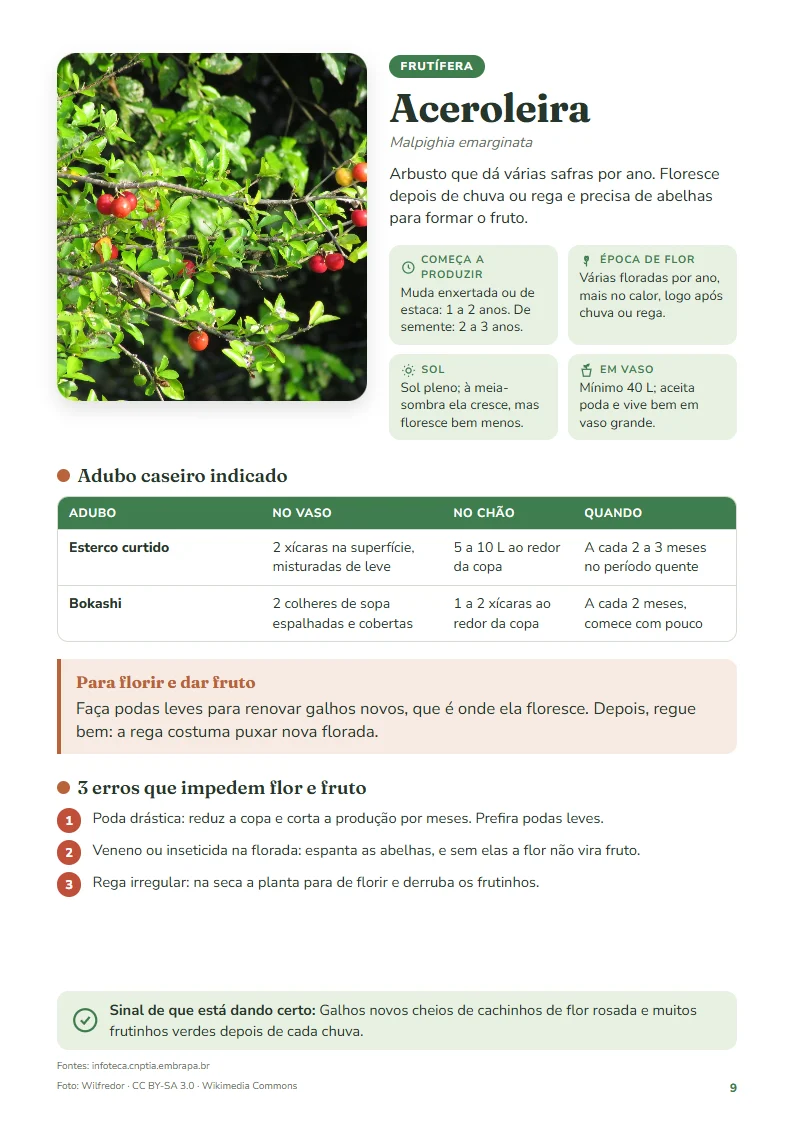 Ficha da aceroleira