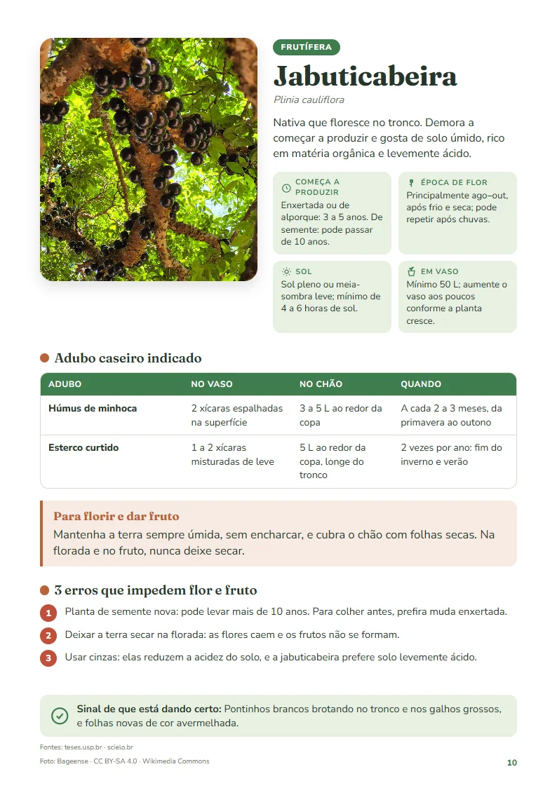 Ficha da jabuticabeira