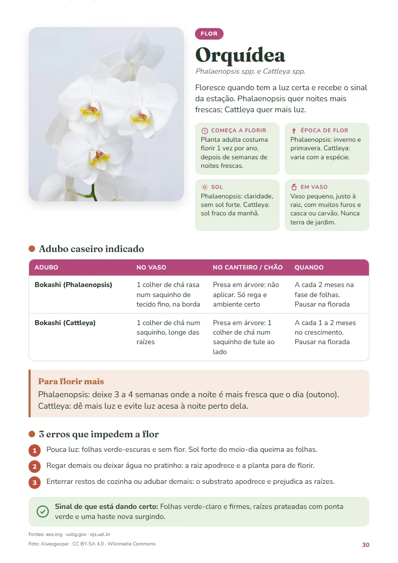 Ficha da orquídea